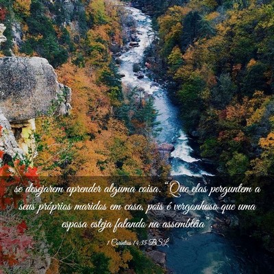 Picture 03 - 1 Coríntios 14:35 BSL - se desejarem aprender alguma coisa. “Que elas - Bible Verse Picture