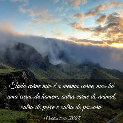 Picture 03 - 1 Coríntios 15:39 BSL - Toda carne não é a mesma carne, mas há uma - Bible Verse Picture