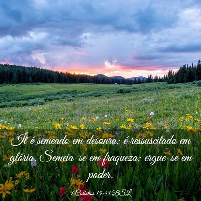 Picture 03 - 1 Coríntios 15:43 BSL - It é semeado em desonra; é ressuscitado em - Bible Verse Picture