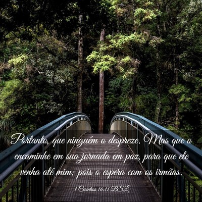 Picture 03 - 1 Coríntios 16:11 BSL - Portanto, que ninguém o despreze. Mas que o - Bible Verse Picture