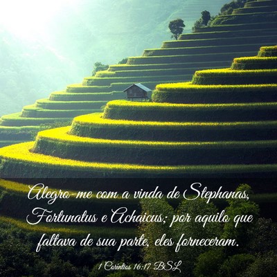 Picture 03 - 1 Coríntios 16:17 BSL - Alegro-me com a vinda de Stephanas, Fortunatus e - Bible Verse Picture