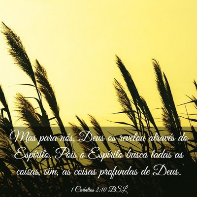 Picture 03 - 1 Coríntios 2:10 BSL - Mas para nós, Deus os revelou através do - Bible Verse Picture