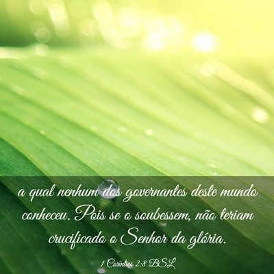 Picture 03 - 1 Coríntios 2:8 BSL - a qual nenhum dos governantes deste mundo - Bible Verse Picture
