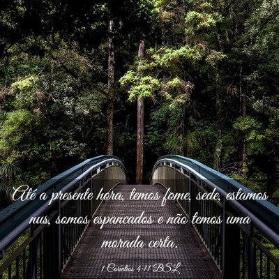 Picture 03 - 1 Coríntios 4:11 BSL - Até a presente hora, temos fome, sede, estamos - Bible Verse Picture