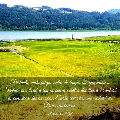 Picture 03 - 1 Coríntios 4:5 BSL - Portanto, nada julgue antes do tempo, até que - Bible Verse Picture