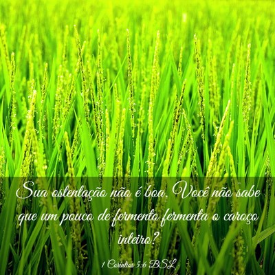 Picture 03 - 1 Coríntios 5:6 BSL - Sua ostentação não é boa. Você não sabe que - Bible Verse Picture