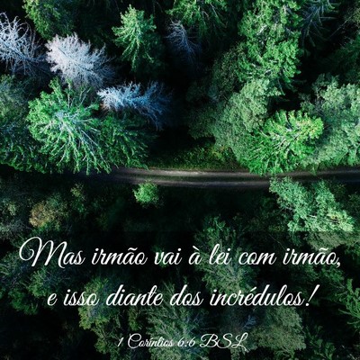 Picture 03 - 1 Coríntios 6:6 BSL - Mas irmão vai à lei com irmão, e isso diante - Bible Verse Picture