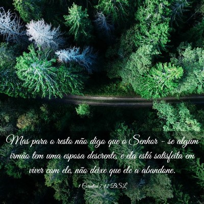 Picture 03 - 1 Coríntios 7:12 BSL - Mas para o resto não digo que o Senhor - se - Bible Verse Picture