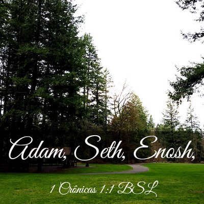 Picture 03 - 1 Crônicas 1:1 BSL - Adam, Seth, - Bible Verse Picture