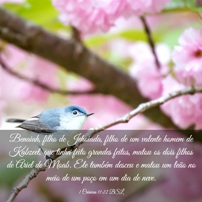 Picture 03 - 1 Crônicas 11:22 BSL - Benaiah, filho de Jehoiada, filho de um valente - Bible Verse Picture