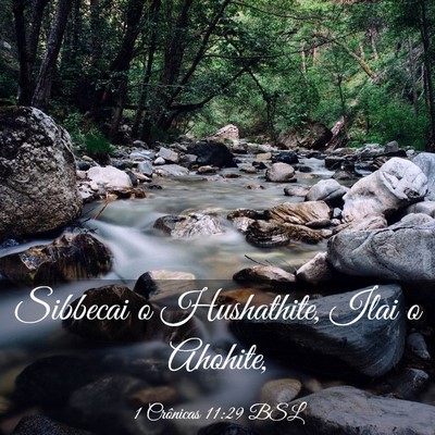 Picture 03 - 1 Crônicas 11:29 BSL - Sibbecai o Hushathite, Ilai o - Bible Verse Picture