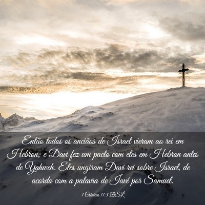 Picture 03 - 1 Crônicas 11:3 BSL - Então todos os anciãos de Israel vieram ao rei - Bible Verse Picture
