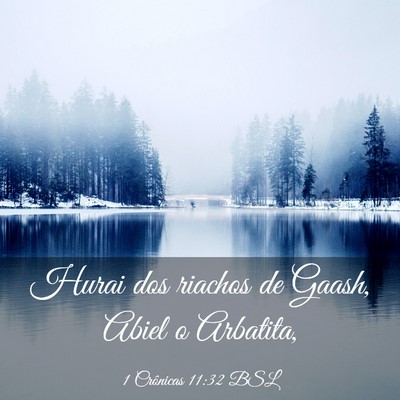 Picture 03 - 1 Crônicas 11:32 BSL - Hurai dos riachos de Gaash, Abiel o - Bible Verse Picture