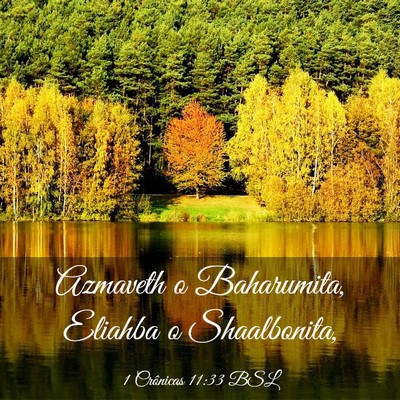 Picture 03 - 1 Crônicas 11:33 BSL - Azmaveth o Baharumita, Eliahba o - Bible Verse Picture