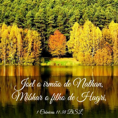 Picture 03 - 1 Crônicas 11:38 BSL - Joel o irmão de Nathan, Mibhar o filho de - Bible Verse Picture
