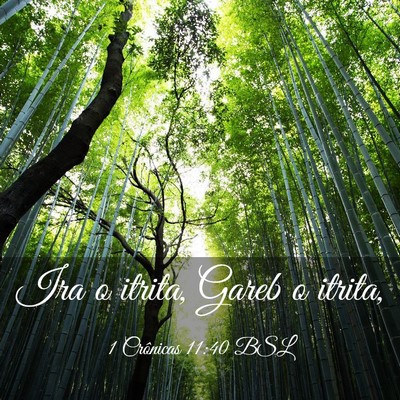 Picture 03 - 1 Crônicas 11:40 BSL - Ira o itrita, Gareb o - Bible Verse Picture