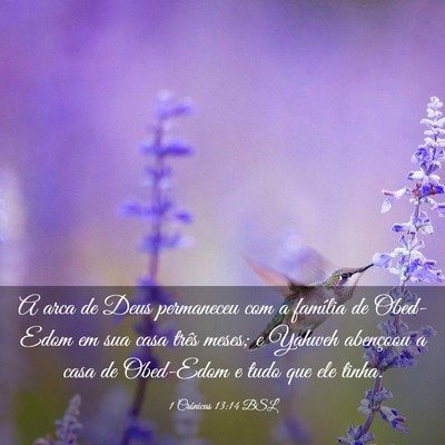 Picture 03 - 1 Crônicas 13:14 BSL - A arca de Deus permaneceu com a família de - Bible Verse Picture