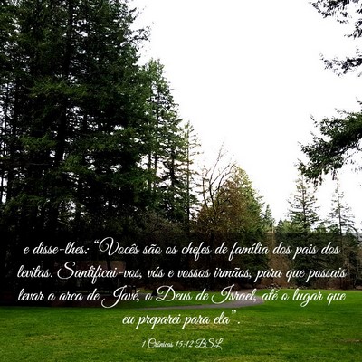 Picture 03 - 1 Crônicas 15:12 BSL - e disse-lhes: “Vocês são os chefes de - Bible Verse Picture