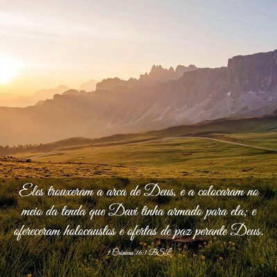 Picture 03 - 1 Crônicas 16:1 BSL - Eles trouxeram a arca de Deus, e a colocaram no - Bible Verse Picture