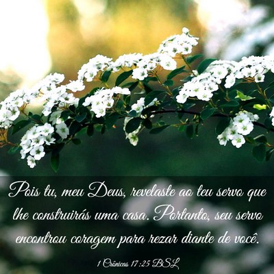 Picture 03 - 1 Crônicas 17:25 BSL - Pois tu, meu Deus, revelaste ao teu servo que lhe - Bible Verse Picture