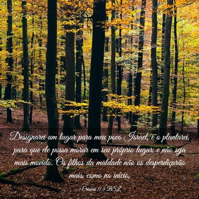 Picture 03 - 1 Crônicas 17:9 BSL - Designarei um lugar para meu povo Israel, e o - Bible Verse Picture