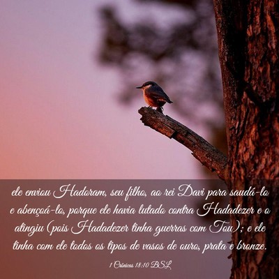 Picture 03 - 1 Crônicas 18:10 BSL - ele enviou Hadoram, seu filho, ao rei Davi para - Bible Verse Picture