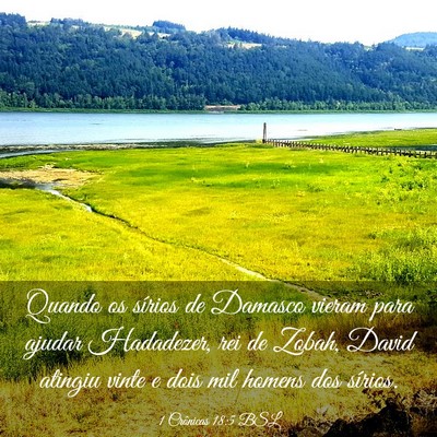 Picture 03 - 1 Crônicas 18:5 BSL - Quando os sírios de Damasco vieram para ajudar - Bible Verse Picture