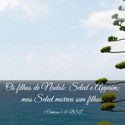 Picture 03 - 1 Crônicas 2:30 BSL - Os filhos de Nadab: Seled e Appaim; mas Seled - Bible Verse Picture