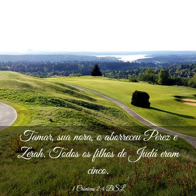 Picture 03 - 1 Crônicas 2:4 BSL - Tamar, sua nora, o aborreceu Perez e Zerah. Todos - Bible Verse Picture