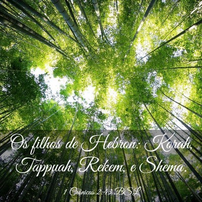 Picture 03 - 1 Crônicas 2:43 BSL - Os filhos de Hebron: Korah, Tappuah, Rekem, e - Bible Verse Picture