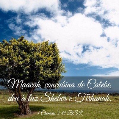 Picture 03 - 1 Crônicas 2:48 BSL - Maacah, concubina de Calebe, deu à luz Sheber e - Bible Verse Picture