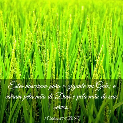 Picture 03 - 1 Crônicas 20:8 BSL - Estes nasceram para o gigante em Gate; e caíram - Bible Verse Picture