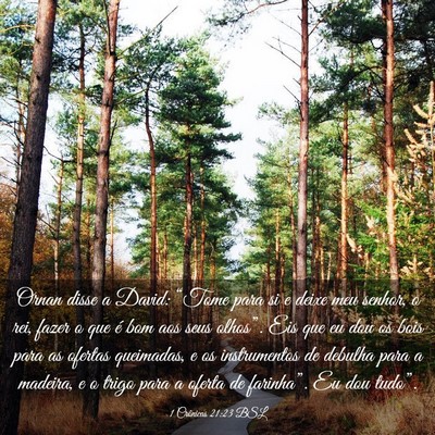 Picture 03 - 1 Crônicas 21:23 BSL - Ornan disse a David: “Tome para si e deixe meu - Bible Verse Picture