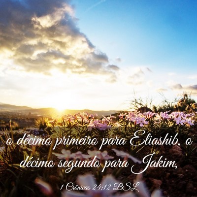 Picture 03 - 1 Crônicas 24:12 BSL - o décimo primeiro para Eliashib, o décimo - Bible Verse Picture