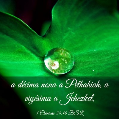 Picture 03 - 1 Crônicas 24:16 BSL - a décima nona a Pethahiah, a vigésima a - Bible Verse Picture