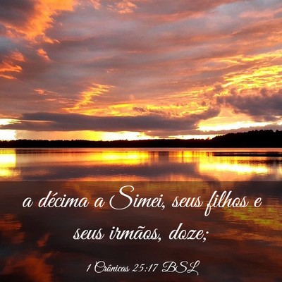 Picture 03 - 1 Crônicas 25:17 BSL - a décima a Simei, seus filhos e seus irmãos, - Bible Verse Picture