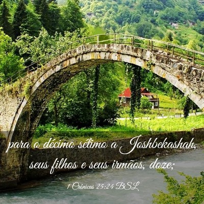 Picture 03 - 1 Crônicas 25:24 BSL - para o décimo sétimo a Joshbekashah, seus - Bible Verse Picture
