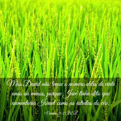 Picture 03 - 1 Crônicas 27:23 BSL - Mas David não levou o número deles de vinte - Bible Verse Picture