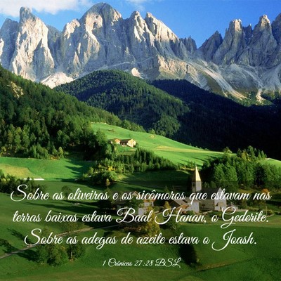 Picture 03 - 1 Crônicas 27:28 BSL - Sobre as oliveiras e os sicômoros que estavam - Bible Verse Picture