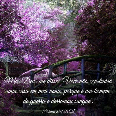 Picture 03 - 1 Crônicas 28:3 BSL - Mas Deus me disse: 'Você não construirá uma - Bible Verse Picture