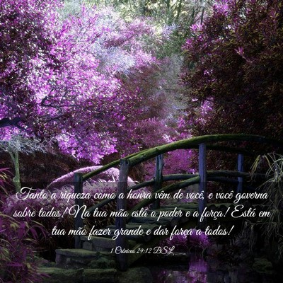 Picture 03 - 1 Crônicas 29:12 BSL - Tanto a riqueza como a honra vêm de você, e - Bible Verse Picture