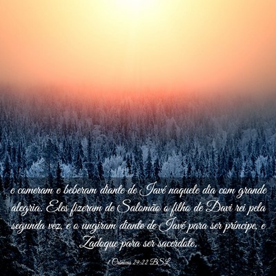 Picture 03 - 1 Crônicas 29:22 BSL - e comeram e beberam diante de Iavé naquele dia - Bible Verse Picture
