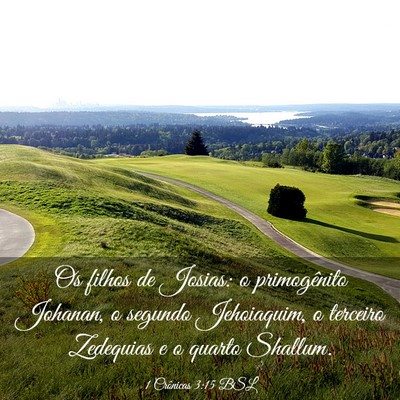 Picture 03 - 1 Crônicas 3:15 BSL - Os filhos de Josias: o primogênito Johanan, o - Bible Verse Picture
