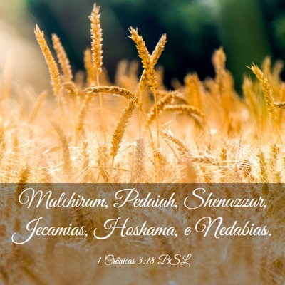 Picture 03 - 1 Crônicas 3:18 BSL - Malchiram, Pedaiah, Shenazzar, Jecamias, Hoshama, - Bible Verse Picture