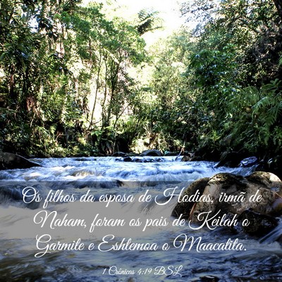 Picture 03 - 1 Crônicas 4:19 BSL - Os filhos da esposa de Hodias, irmã de Naham, - Bible Verse Picture