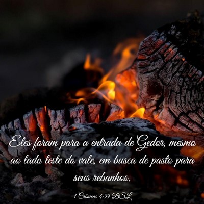 Picture 03 - 1 Crônicas 4:39 BSL - Eles foram para a entrada de Gedor, mesmo ao lado - Bible Verse Picture