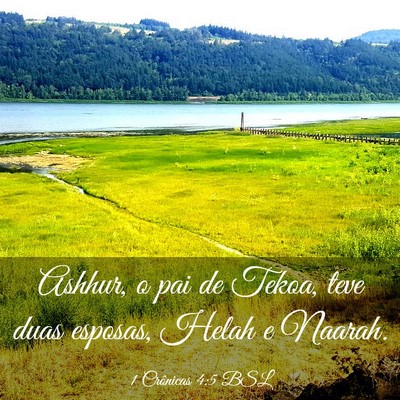 Picture 03 - 1 Crônicas 4:5 BSL - Ashhur, o pai de Tekoa, teve duas esposas, Helah - Bible Verse Picture