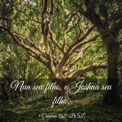 Picture 03 - 1 Crônicas 7:27 BSL - Nun seu filho, e Joshua seu - Bible Verse Picture