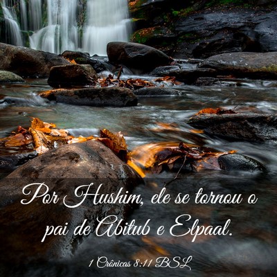 Picture 03 - 1 Crônicas 8:11 BSL - Por Hushim, ele se tornou o pai de Abitub e - Bible Verse Picture