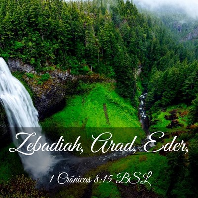 Picture 03 - 1 Crônicas 8:15 BSL - Zebadiah, Arad, - Bible Verse Picture